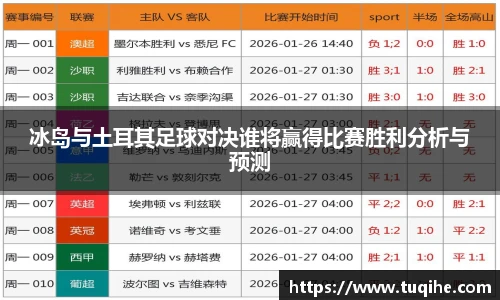 冰岛与土耳其足球对决谁将赢得比赛胜利分析与预测