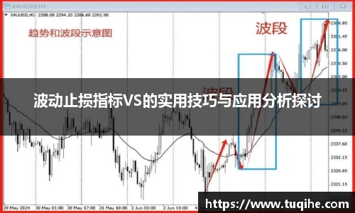 波动止损指标VS的实用技巧与应用分析探讨