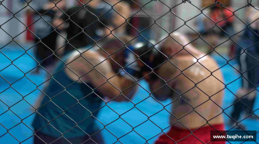 bevictor伟德登录挑战自我，成就非凡